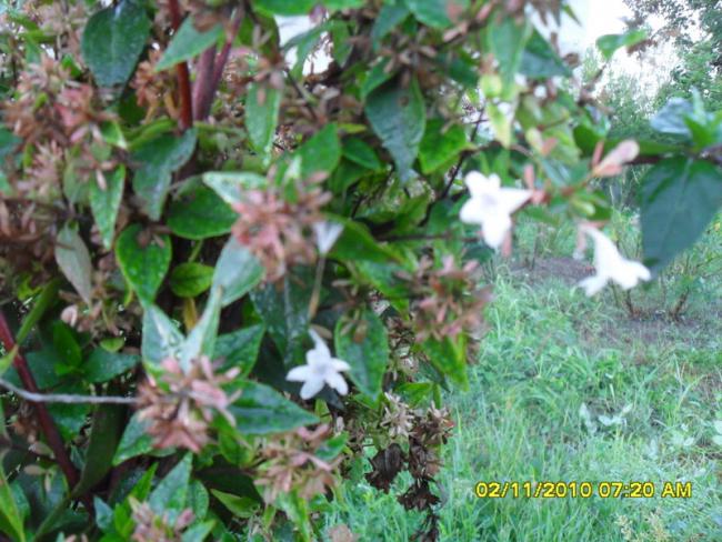 Name:  SDC15867.jpg
Views: 609
Size:  64.1 KB
