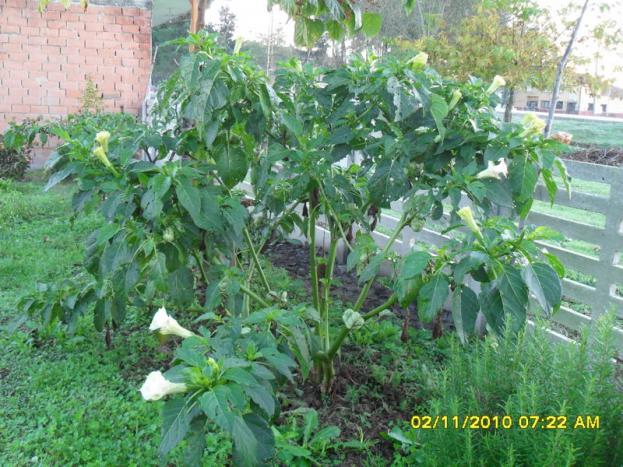 Name:  SDC15869.jpg
Views: 592
Size:  71.2 KB