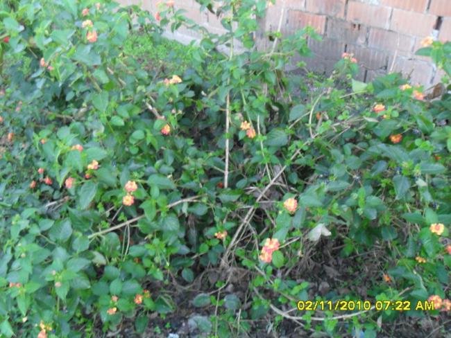 Name:  SDC15872.jpg
Views: 594
Size:  67.6 KB