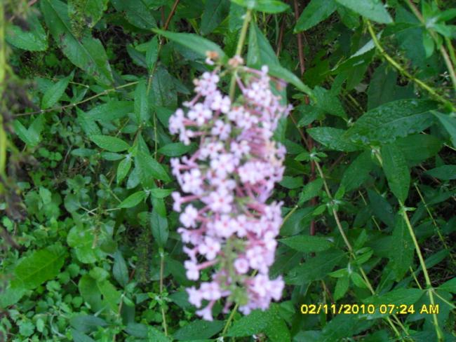 Name:  SDC15876.jpg
Views: 704
Size:  60.8 KB