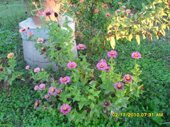 Name:  SDC15898.jpg
Views: 577
Size:  72.0 KB