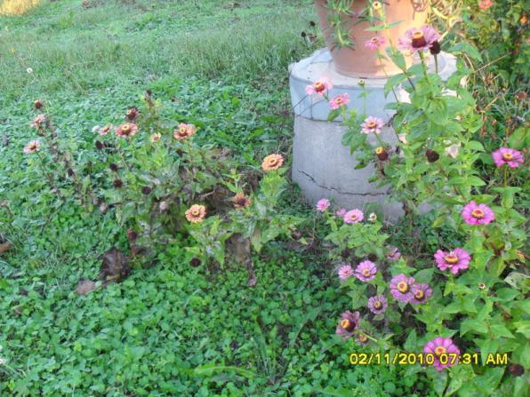 Name:  SDC15899.jpg
Views: 550
Size:  71.6 KB