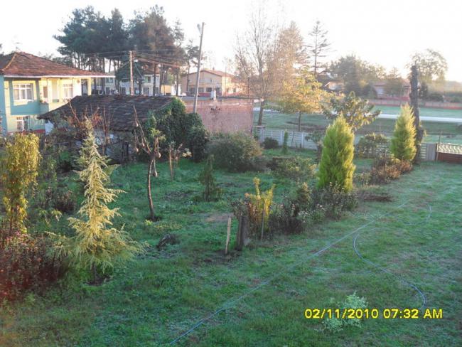 Name:  SDC15901.jpg
Views: 566
Size:  63.3 KB
