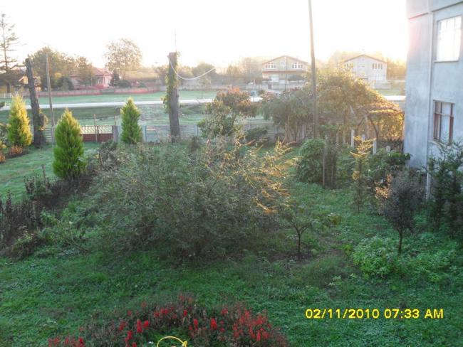 Name:  SDC15902.jpg
Views: 548
Size:  56.4 KB