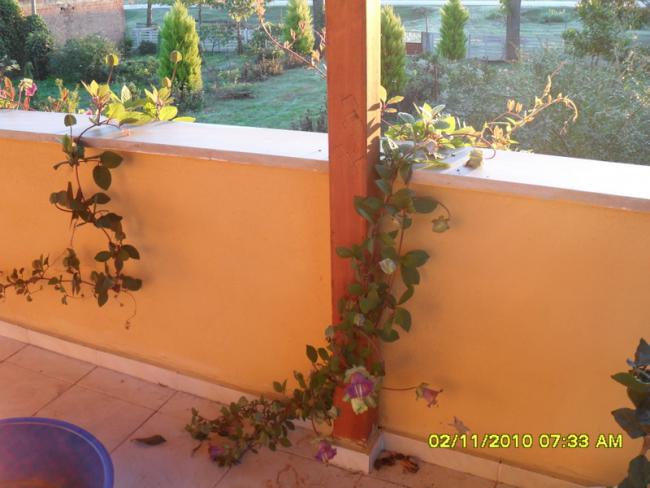 Name:  SDC15905.jpg
Views: 547
Size:  43.3 KB