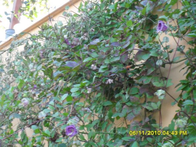Name:  SDC15947.jpg
Views: 2016
Size:  66.7 KB