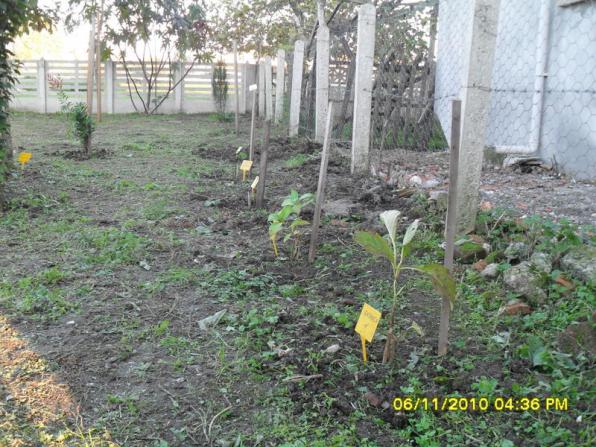 Name:  SDC15925.jpg
Views: 685
Size:  71.3 KB