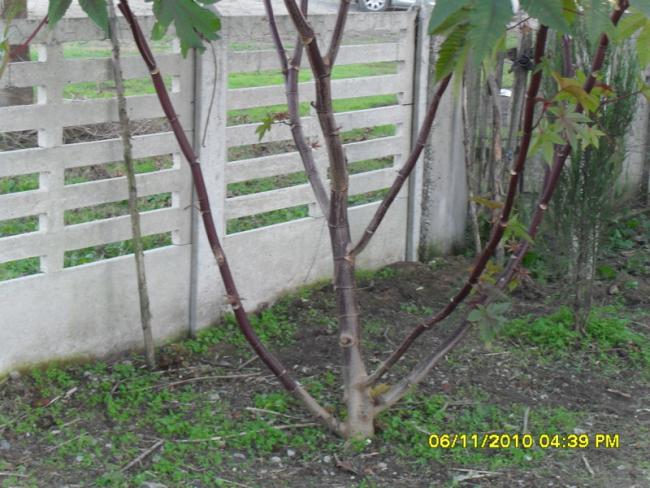 Name:  SDC15932.jpg
Views: 676
Size:  59.7 KB