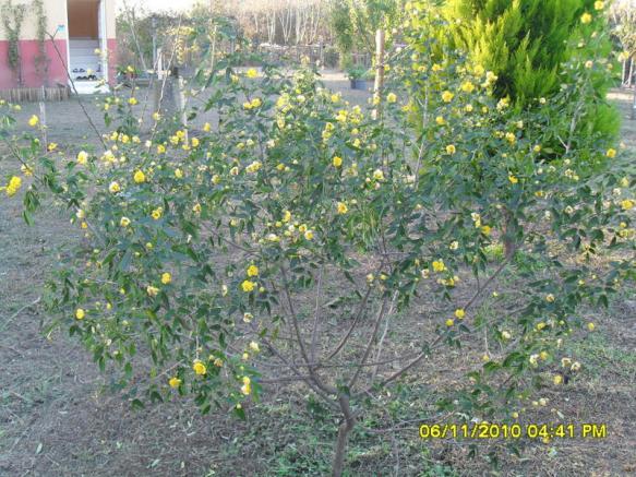 Name:  SDC15940.jpg
Views: 651
Size:  71.7 KB