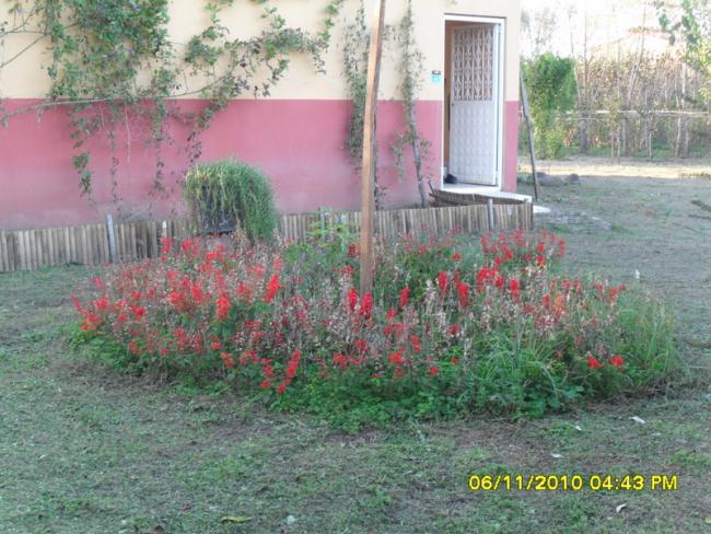 Name:  SDC15944.jpg
Views: 677
Size:  66.8 KB