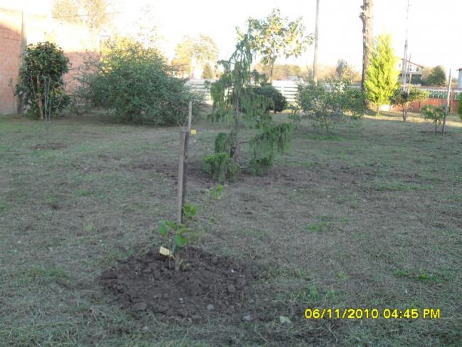 Name:  SDC15953.jpg
Views: 665
Size:  58.1 KB