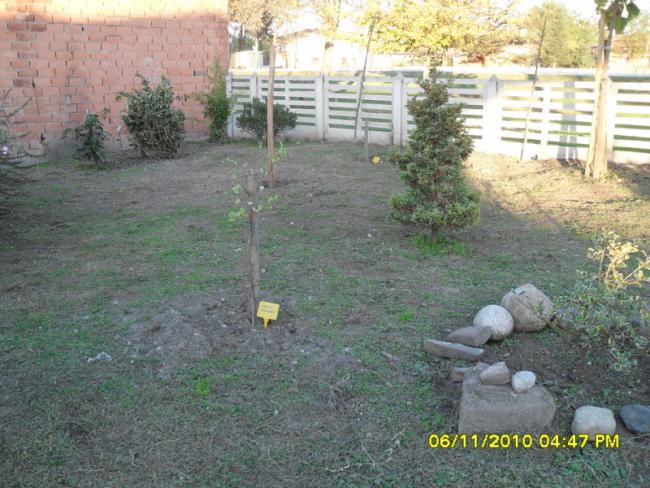 Name:  SDC15959.jpg
Views: 838
Size:  65.9 KB