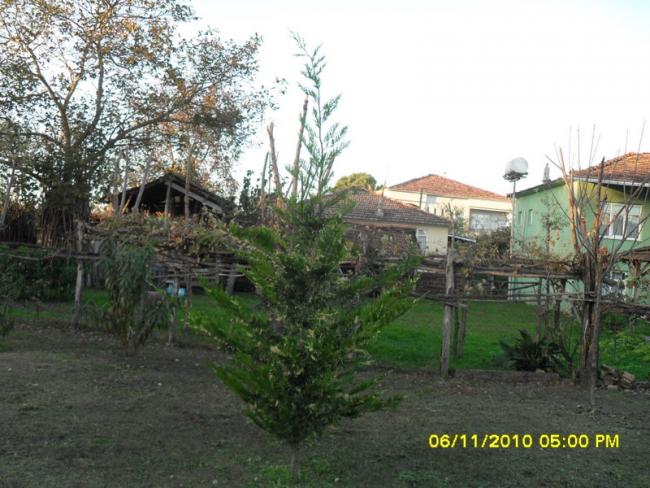 Name:  SDC16004.jpg
Views: 655
Size:  59.7 KB