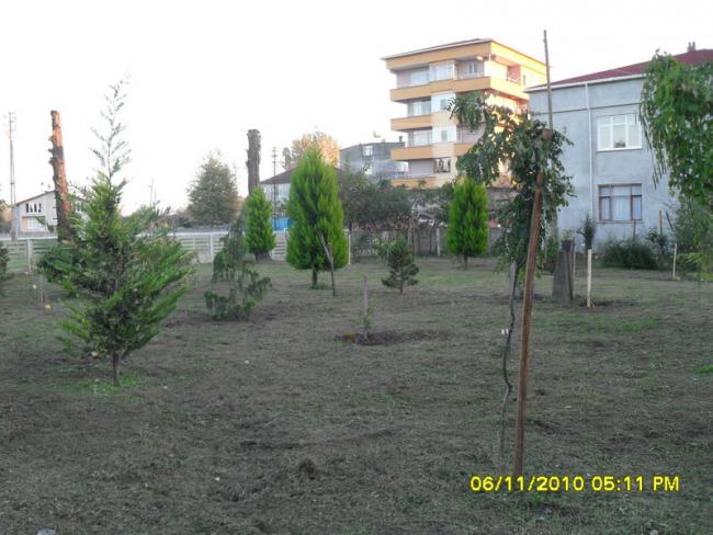 Name:  SDC16055.jpg
Views: 504
Size:  52.3 KB