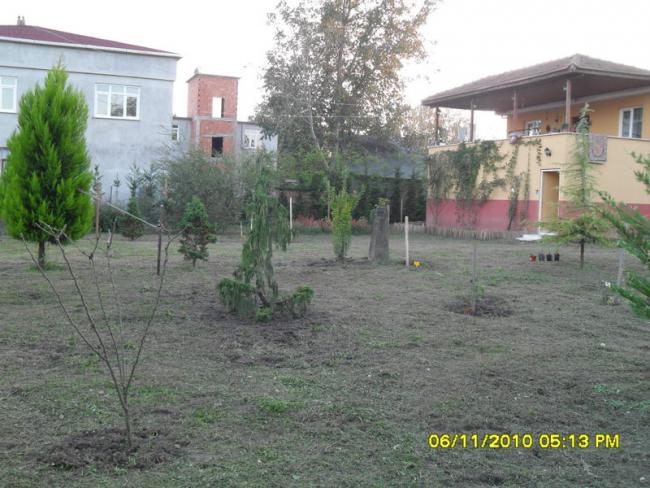 Name:  SDC16064.jpg
Views: 501
Size:  59.0 KB
