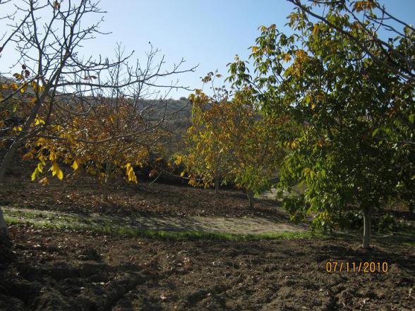 Name:  renkler1.jpg
Views: 1258
Size:  71.4 KB