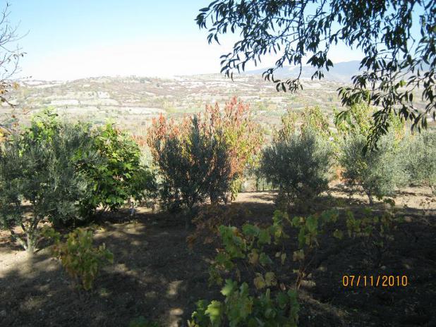 Name:  sonbahar2.jpg
Views: 1270
Size:  70.6 KB