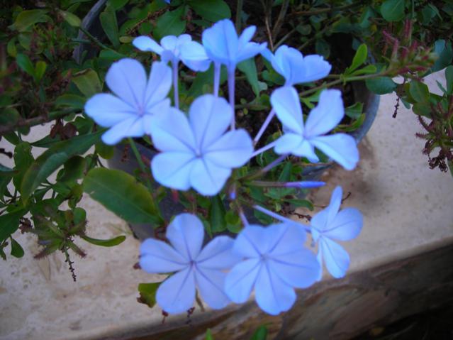 Name:  DSCN3815.jpg
Views: 1048
Size:  42.6 KB