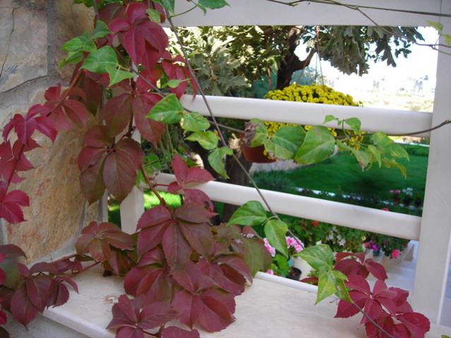 Name:  DSCN3801.jpg
Views: 983
Size:  53.7 KB