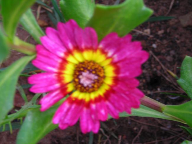 Name:  DSCN3824.jpg
Views: 966
Size:  34.8 KB