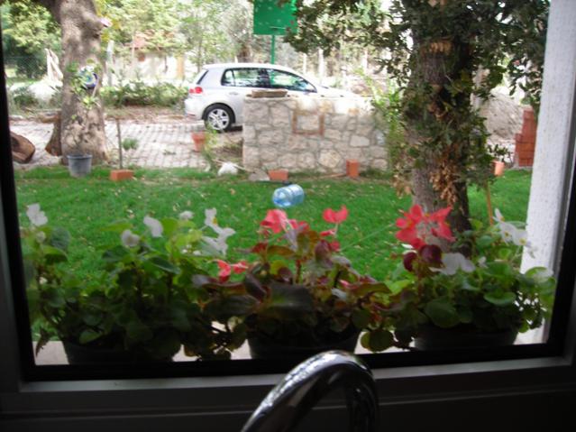 Name:  DSCN3875.jpg
Views: 994
Size:  53.5 KB