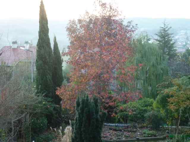 Name:  Bahe 13 kasm 2010 003.JPG
Views: 1705
Size:  43.0 KB