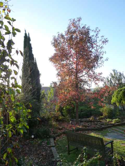 Name:  Bahe 13 kasm 2010 004.JPG
Views: 1679
Size:  48.7 KB