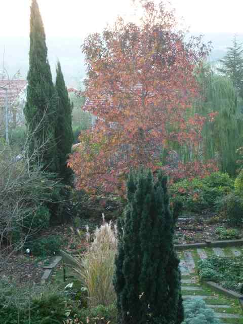 Name:  Bahe 13 kasm 2010 002.JPG
Views: 1863
Size:  42.6 KB