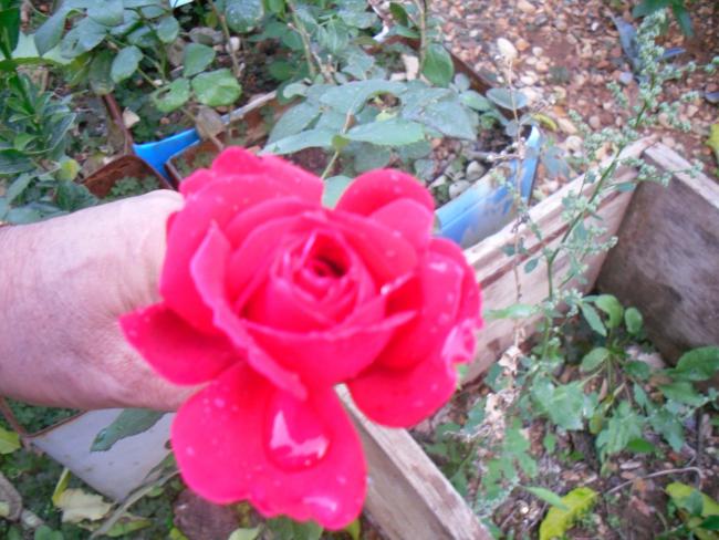 Name:  SDC11581 copy.jpg
Views: 788
Size:  55.2 KB