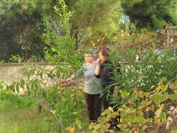 Name:  028-1.jpg
Views: 509
Size:  72.0 KB