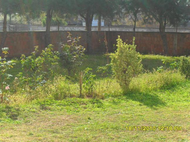 Name:  029-1.jpg
Views: 506
Size:  70.0 KB