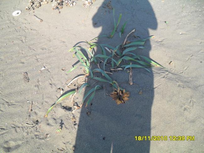 Name:  054-1.jpg
Views: 559
Size:  55.0 KB