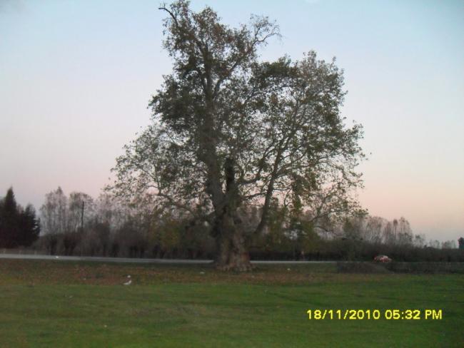 Name:  090-1.jpg
Views: 494
Size:  41.7 KB