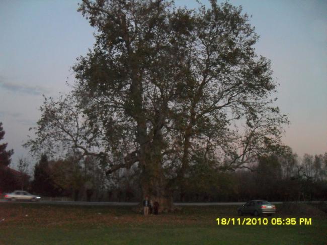 Name:  096-1.jpg
Views: 498
Size:  49.1 KB