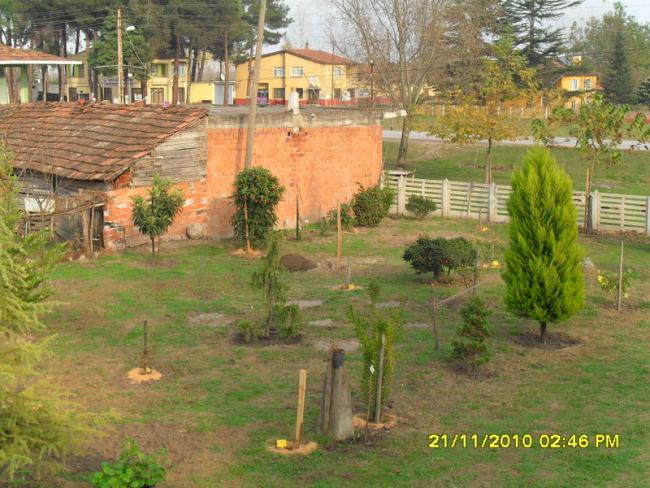 Name:  003.jpg
Views: 609
Size:  67.4 KB