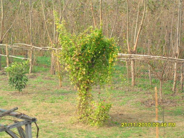 Name:  004.jpg
Views: 592
Size:  71.1 KB