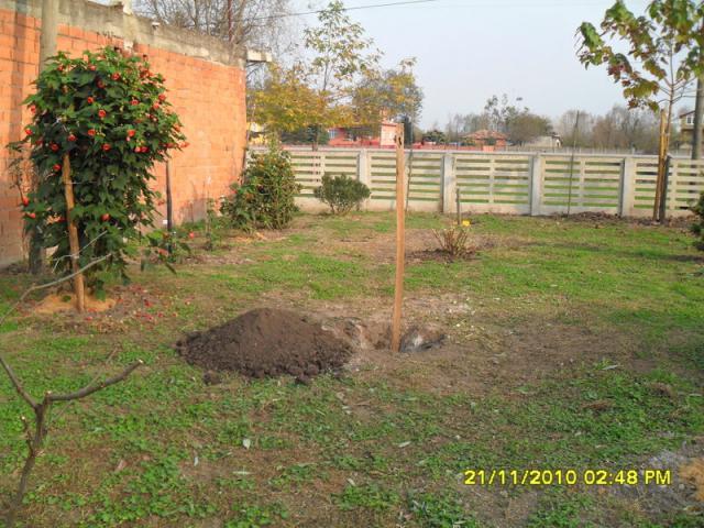 Name:  008.jpg
Views: 592
Size:  69.3 KB