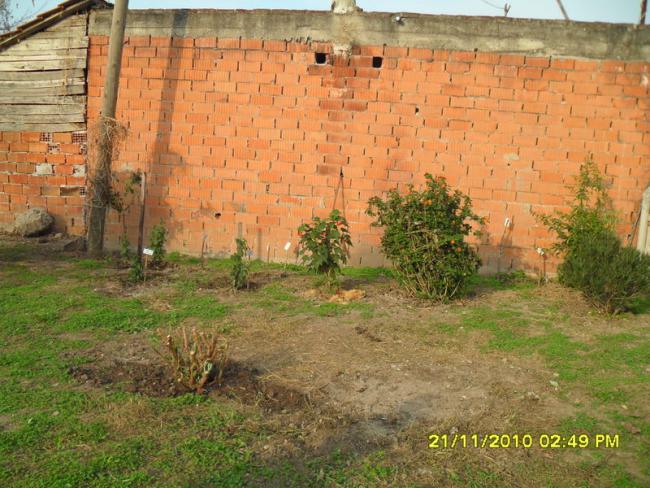 Name:  012.jpg
Views: 592
Size:  67.9 KB