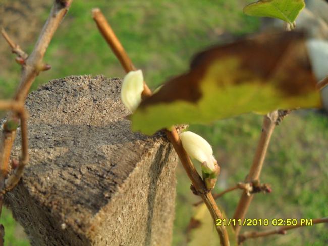 Name:  016.jpg
Views: 588
Size:  43.4 KB