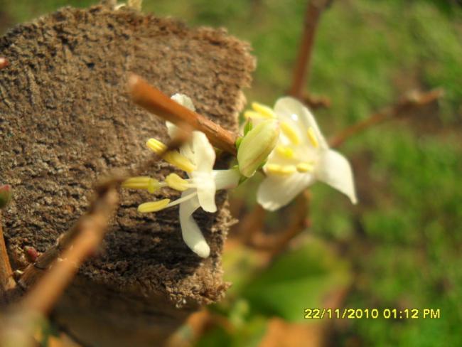 Name:  003.jpg
Views: 571
Size:  41.2 KB
