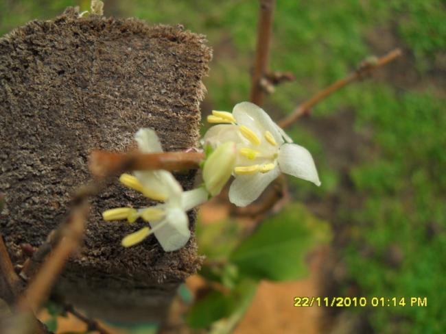 Name:  005.jpg
Views: 568
Size:  42.2 KB