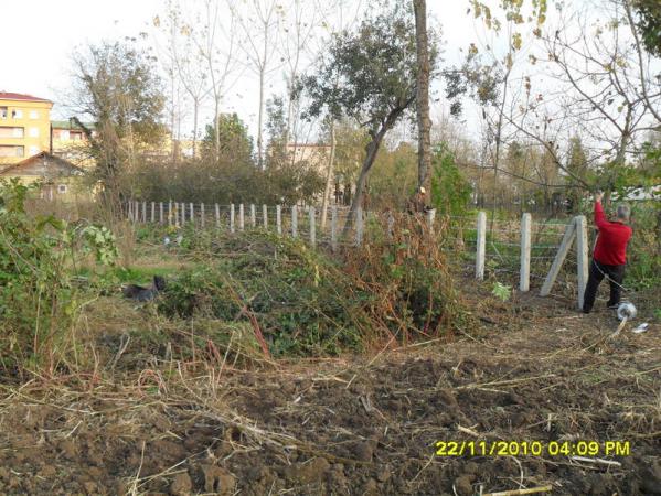 Name:  017.jpg
Views: 553
Size:  72.0 KB