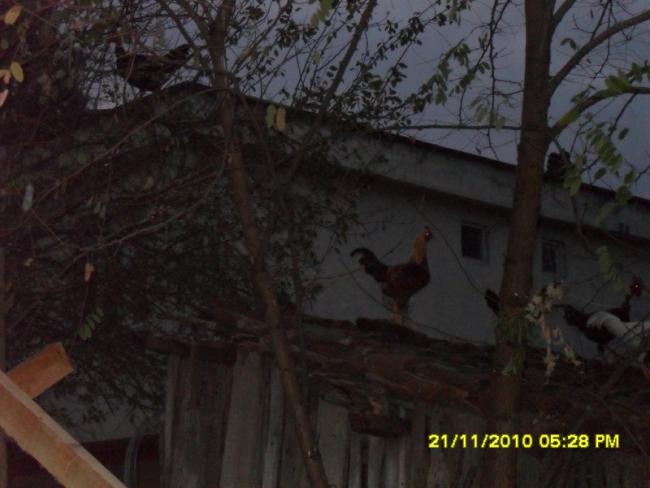 Name:  033.jpg
Views: 531
Size:  38.0 KB
