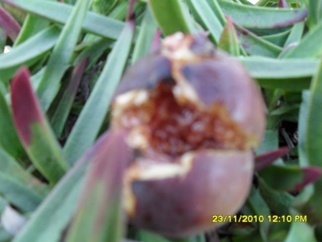 Name:  002.jpg
Views: 552
Size:  32.3 KB