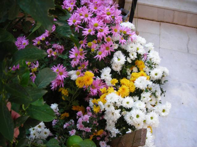 Name:  DSCN3907.jpg
Views: 544
Size:  54.9 KB