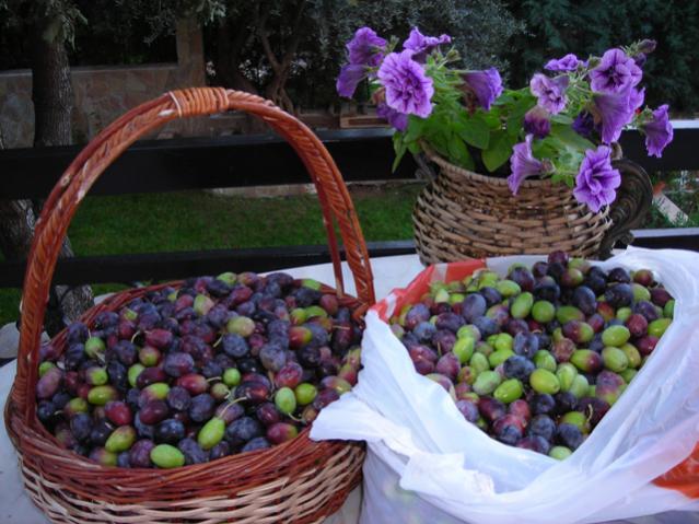 Name:  DSCN3923.jpg
Views: 537
Size:  56.2 KB