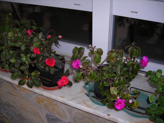 Name:  DSCN3938.jpg
Views: 512
Size:  43.1 KB