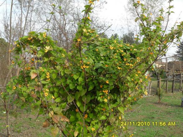 Name:  007.jpg
Views: 489
Size:  72.3 KB