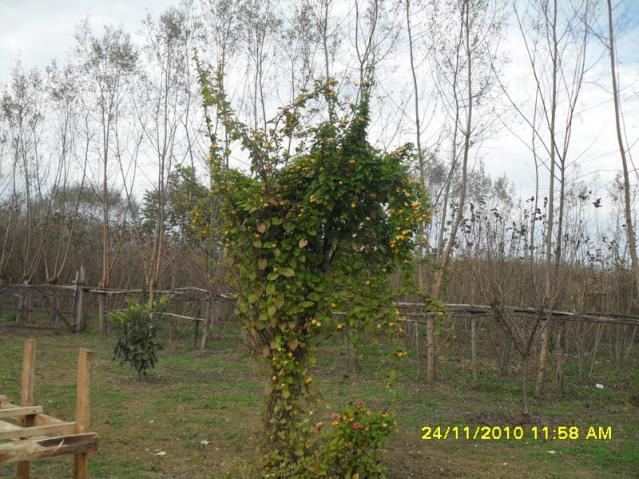 Name:  011.jpg
Views: 468
Size:  69.9 KB