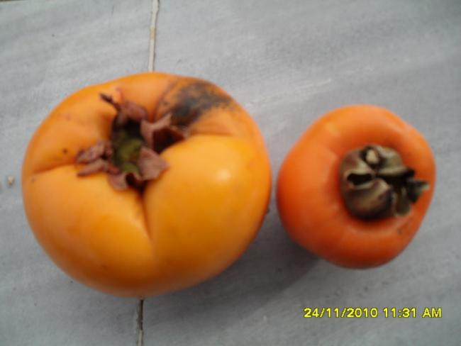 Name:  004.jpg
Views: 510
Size:  23.7 KB